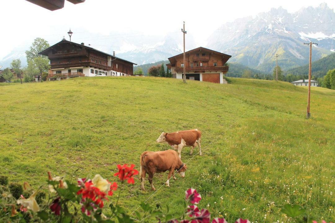 Pension Sunnberg Going am Wilden Kaiser Bagian luar foto